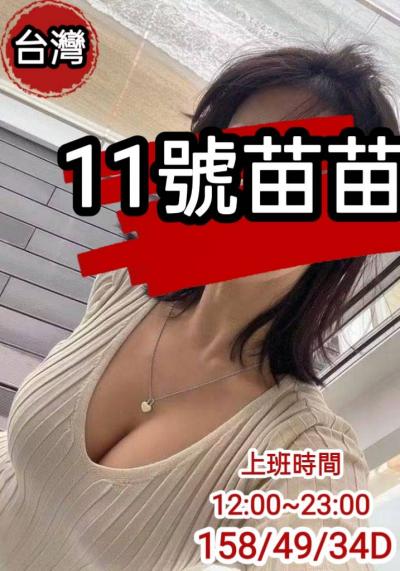 11號苗苗